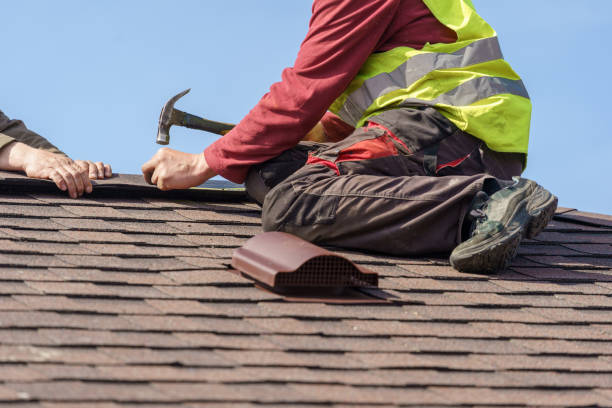 Best Roof Repair Services  in Ozk, AR