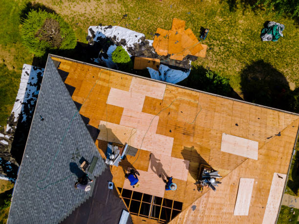 Best Commercial Roofing Services  in Ozk, AR