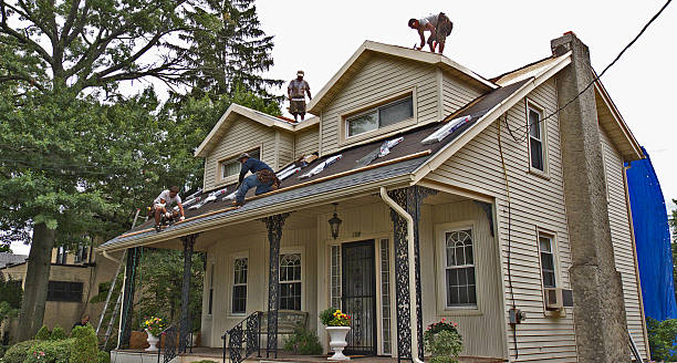 Best Shingle Roofing Installation  in Ozk, AR