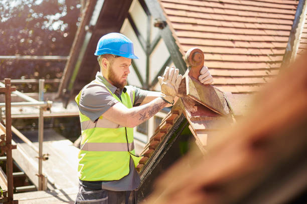 Best New Roof Installation  in Ozk, AR