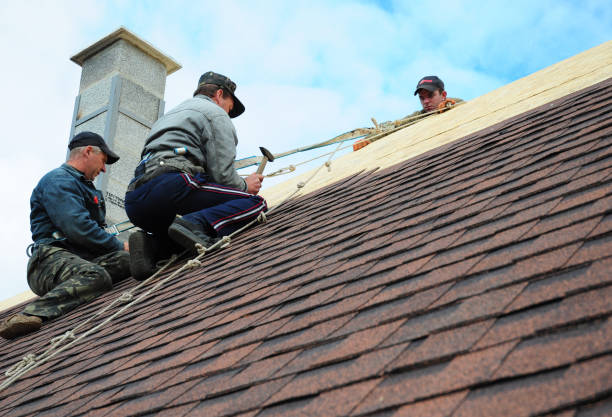 Trusted Ozark, AR Roofing Contractor Experts
